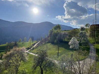 Bild 14 aus  Pirkerhof