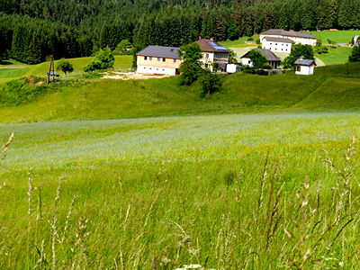 Bild 25 aus Biohof Viertl