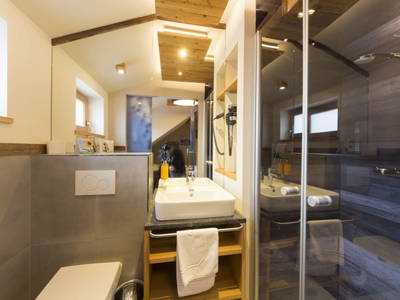 Bild 18 aus  Almresort Baumschlagerberg