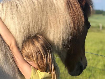 Bild 15 aus  Nordgården- Ferien auf dem Land