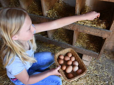 Bild 24 aus  Ferienbauernhof Schuler