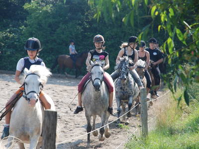 Bild 22 aus  Ferienhof Thomsen