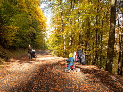 Bild 67 aus  Familienhotel-Gasthof Hinteregger