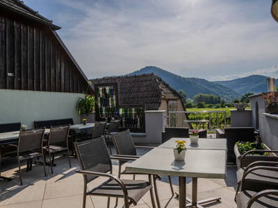 Bild 83 aus  Winzerhof Mörtinger