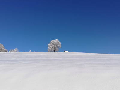 Bild 27 aus  Blickfang Bregenzerwald