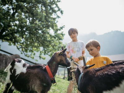 Bild 24 aus  Haarlehenhof