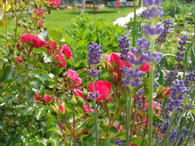 Bild 72 aus  Ranacherhof im Nationalpark der Hohen Tauern