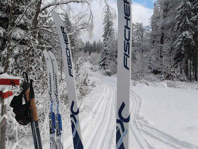 Bild 14 aus  Ferienhaus Angel