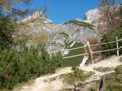 Bild 92 aus  Taxengut