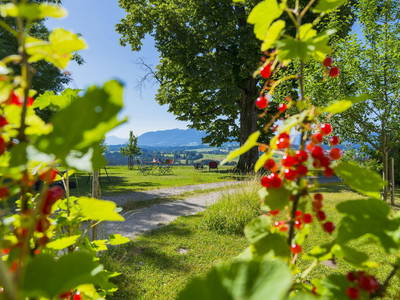 "beerige" Aussichten