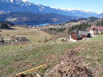 Bild 96 aus  Forstnighof