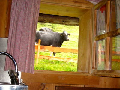 Bild 28 aus  Karlbauerhütte