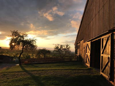 Bild 21 aus  "Höhenhof - Erlebnisbauernhof"