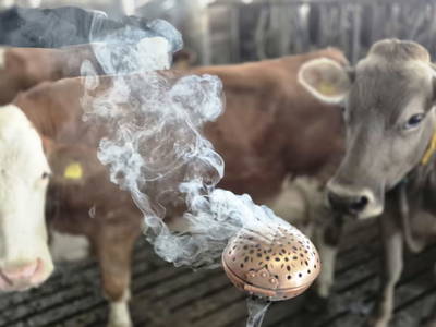 Bild 75 aus  Hof Unterhuben