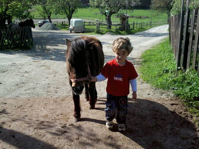 Bild 44 aus  Isländerhof Köck vlg. Kristanhof