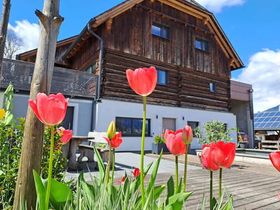 Bild 3 aus  Huberhof - Urlaub im Stall