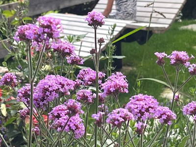 Bild 4 aus  Ascherhof