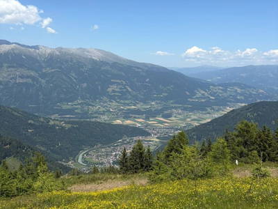 Bild 102 aus  Wallneralm