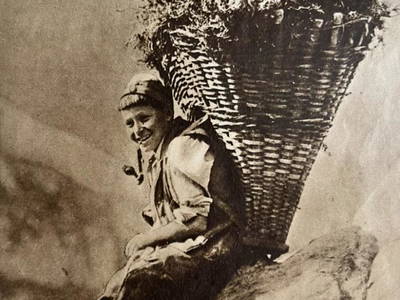 Bild 51 aus  Ascherhof