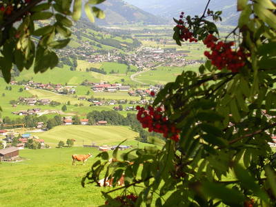 Bild 112 aus  Naglbauer