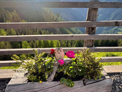 Bild 122 aus  Wallneralm