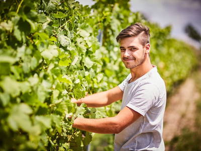 Bild 32 aus  Schmankerl und Gast Heiderer