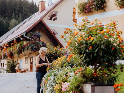 Bild 266 aus  Michlbauer