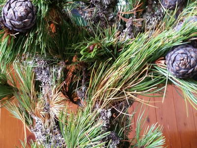 Bild 47 aus  Pürcherhof