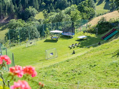 Bild 12 aus  Almbauer