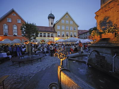 Bild 42 aus  Gmeinder's Landhaus