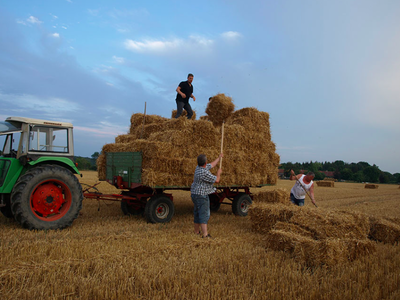 Bild 8 aus  Ferienhof Banck