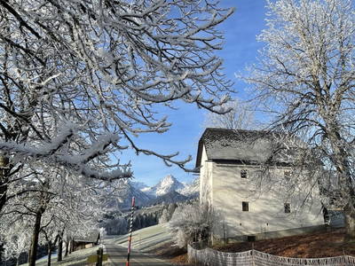 Bild 69 aus  Ferienhof Zamsegg