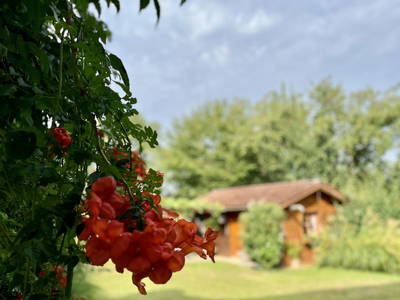 Bild 23 aus  Landhof Ebner