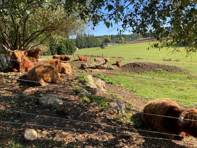 Bild 22 aus  Huber Hof