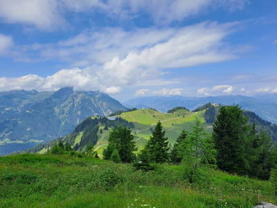 Bild 22 aus  Vierthalerhof