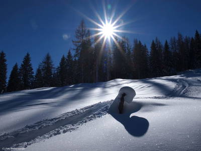 Bild 66 aus  Pesbichl