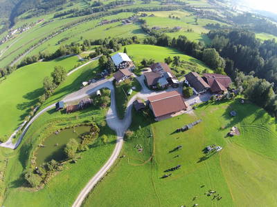 Bild 40 aus  Kohlschnait-Hof