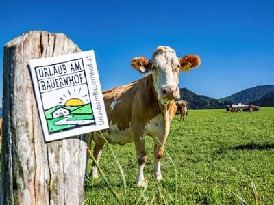 Bild 33 aus  Hagerhof