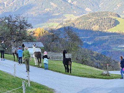 Bild 35 aus  Pfleger Ranch am Schönegg Gut