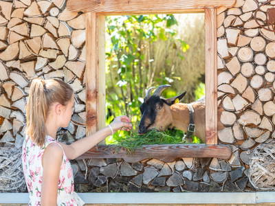 Bild 15 aus  Biobauernhof Mittermoos