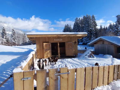 Bild 125 aus  Ferienbauernhof Stallhäusl