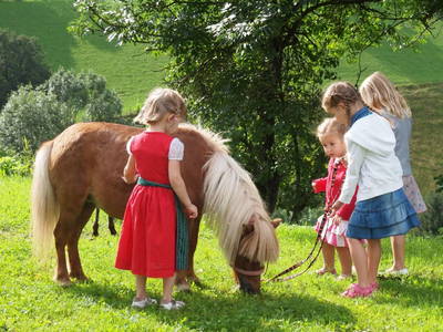 Bild 113 aus  Pesbichl