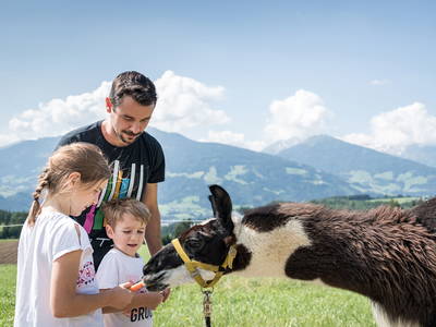 Bild 36 aus  Wichtelhütte