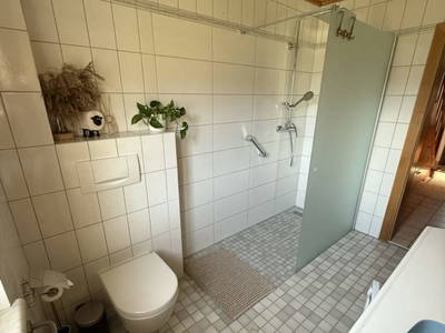 Bild 57 aus  S'Landhäuschen