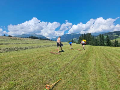 Bild 45 aus  Rotlechner