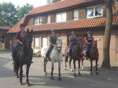 Bild 9 aus  Hof Buddenkotte