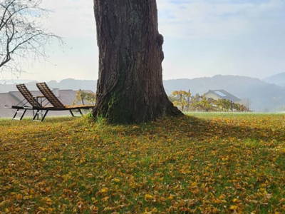 Bild 49 aus  WEIN DOMIZIL ZIEGER