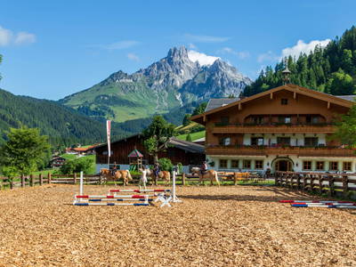 Bild 2 aus  Naturhotel Hammerhof