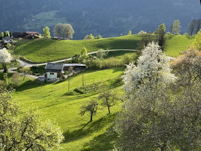 Bild 74 aus  Pirkerhof