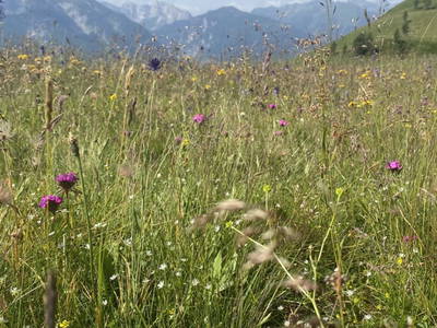 Bild 105 aus Landhof Unterkreuter